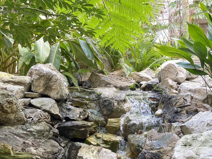 Atrium view for office rentals available in Los Angeles, California featuring lush green plants with water flowing through rocks